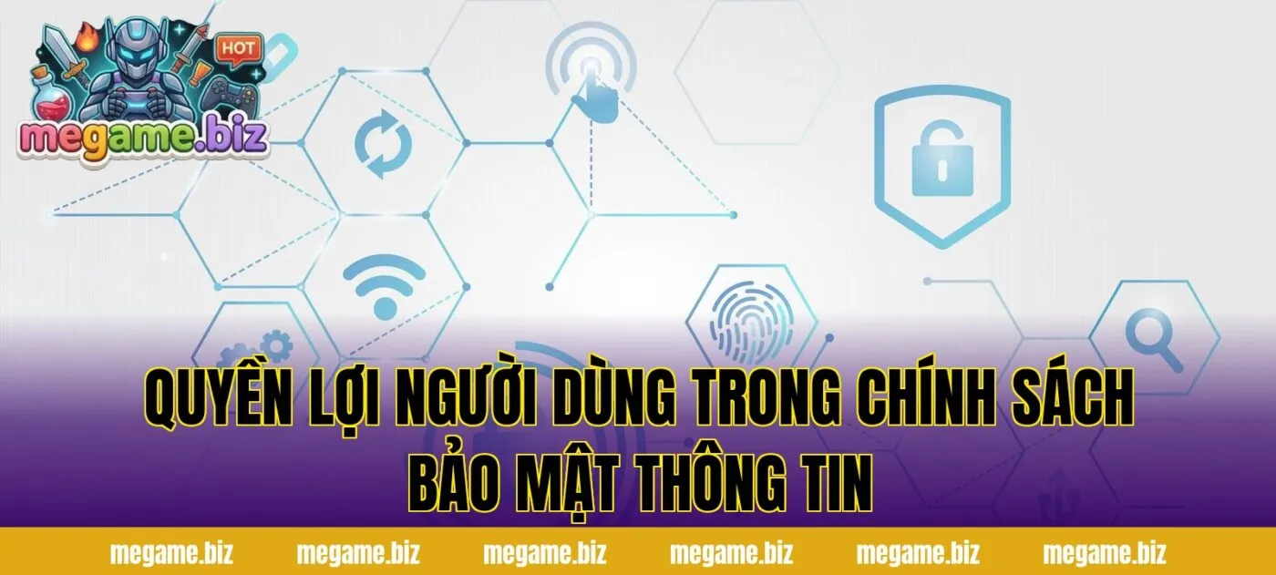 Quyền lợi người dùng trong chính sách bảo mật thông tin
